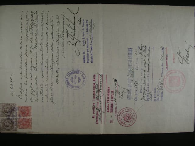 Los 1955