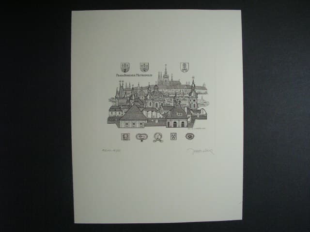 Los 1805