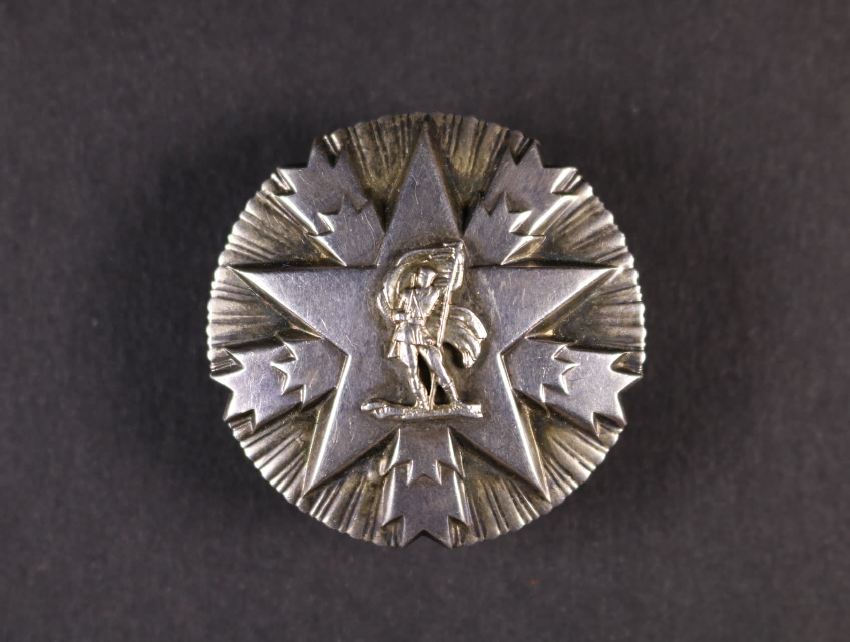 Řád Za národní zásluhy se stříbrnými paprsky, II. st. č.10864