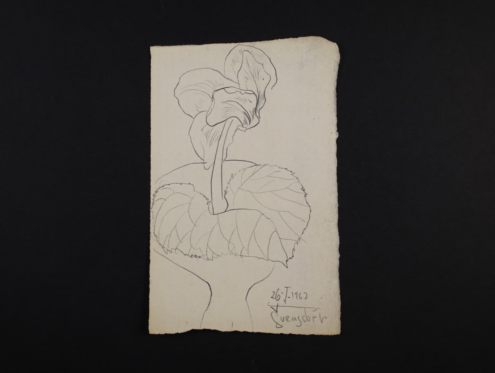 Drobná grafika - Švengsbír Jiří - kresba tužkou o rozm. 97 x 148 mm s vlastnoručním podpisem a datací 1962