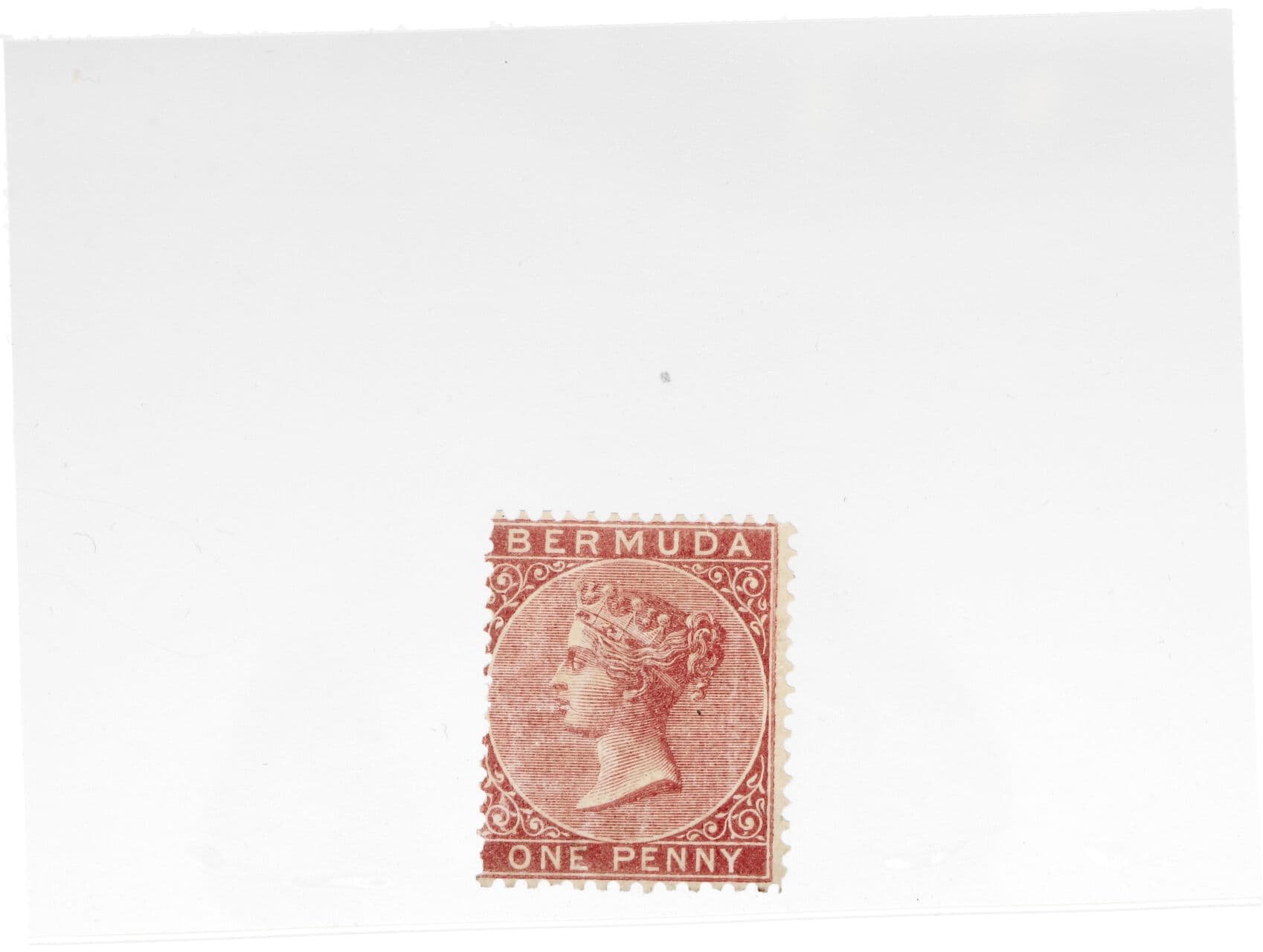 Bermuda - Zn. SG. č. 1
