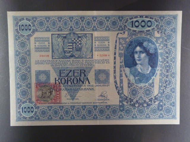 1000 K 2.1.1902, kolkovaná , typ A2, série 1224, šedý podtisk