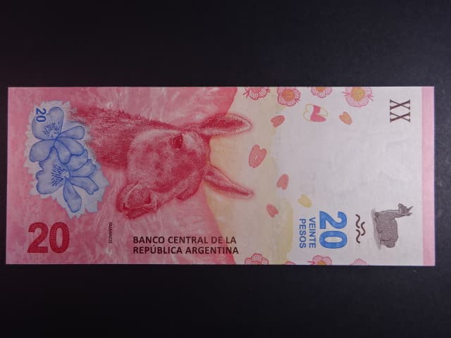 ARGENTINA, 20 Pesos 2017, BNB. B417a, Pi. 361