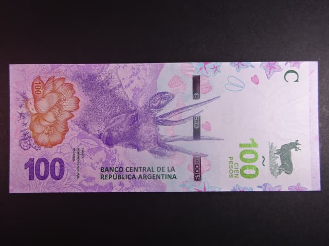 ARGENTINA, 100 Pesos 2018, BNB. B419a