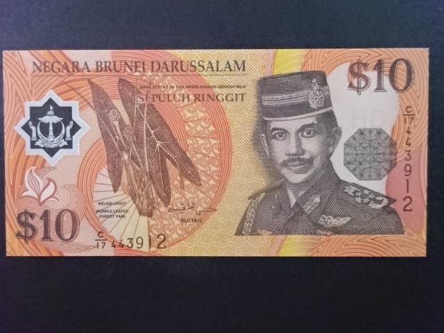 BRUNEJ, 10 Dollars 1998, BNB. B124b, Pi. 24