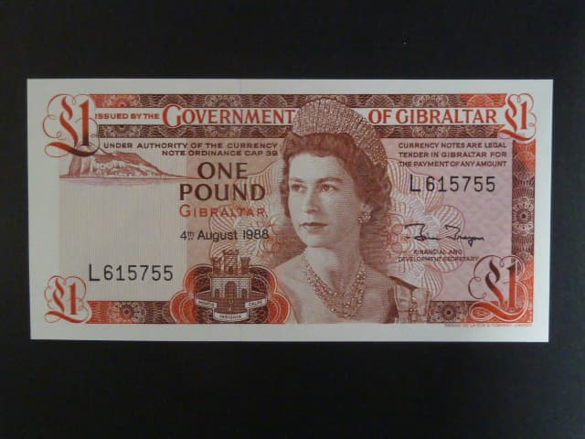 1 Pound 1988, BNB. B118e, Pi. 20