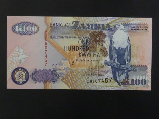 ZAMBIE, 100 Kwacha 1992, BNB. B139a, Pi. 38