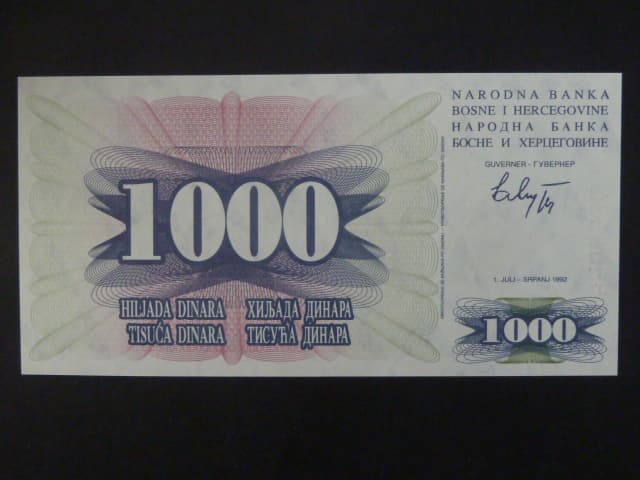 1000 dinara 1992, BNB. 118a, Pi. 15