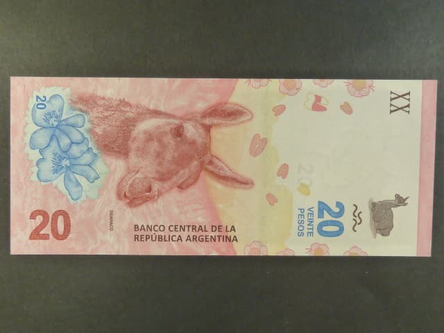 ARGENTINA, 20 Pesos 2023, BNB. B417b, Pi. 361