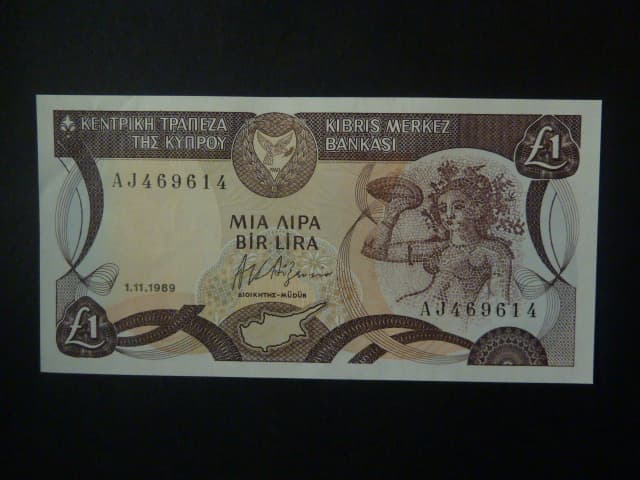 1 Pound 1989, BNB. B313a, Pi. 53a