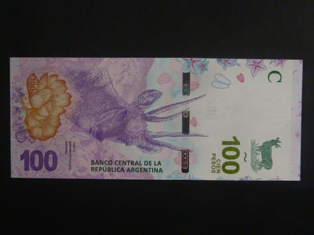 ARGENTINA, 100 Pesos 2018, BNB B419