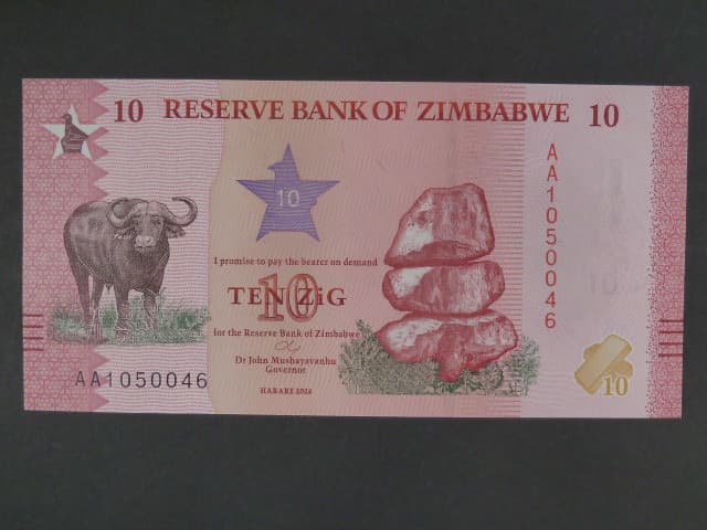ZIMBABWE, 10 Zig 2026, BNB. B206a