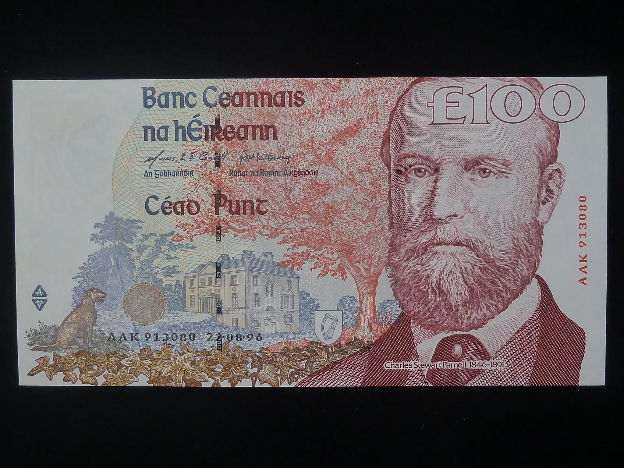100 Pounds 1996, BNB. B224a, Pi. 79