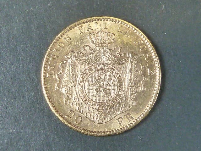 20 Frank 1876