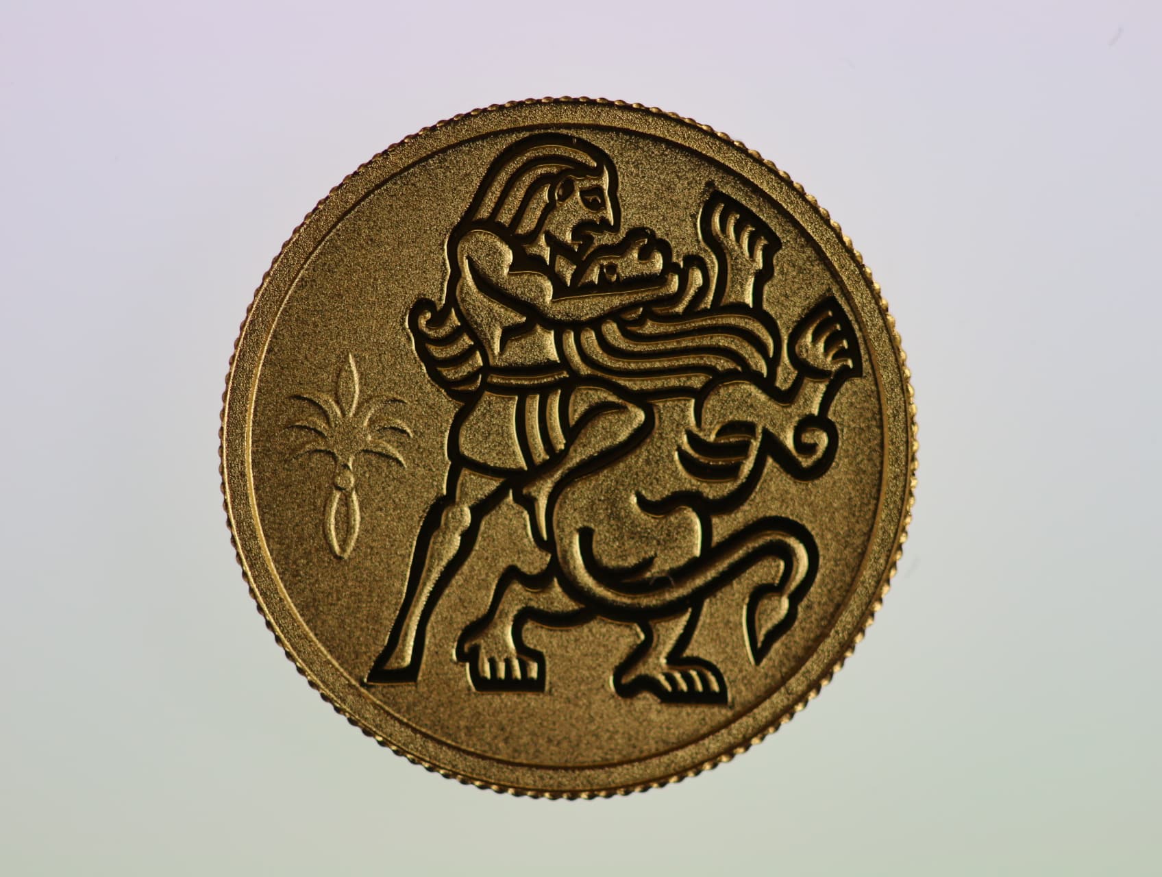 1 Nový izraelský šekel 2009, Au 0.999, 1.24 g., průměr 13,92 mm.