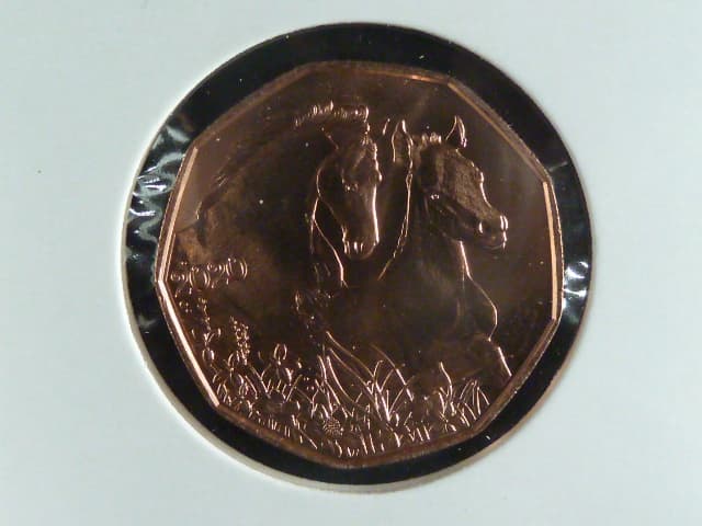 5 Euro 2020 koně