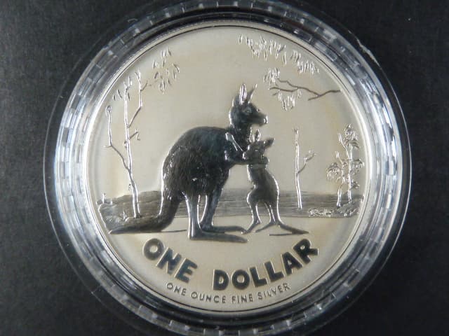 1 Dollars - 1 Oz (31,1g) Ag - Kangaroo 2007, kvalita proof, Ag 0.999, KM 851