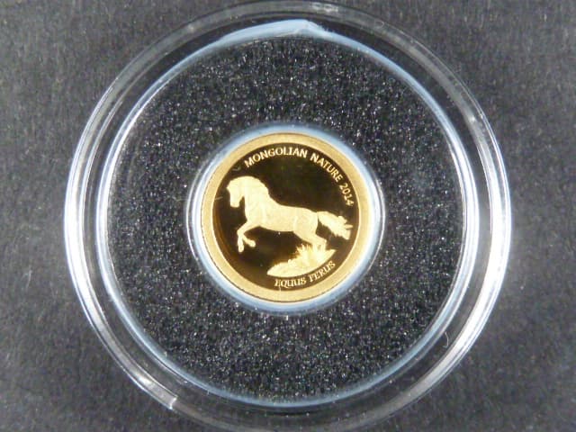 Mongolsko, 500 Togrog 2014, Au 999/1000, 0,5g, průměr 11 mm, z cyklu nejmenší zlaté mince světa