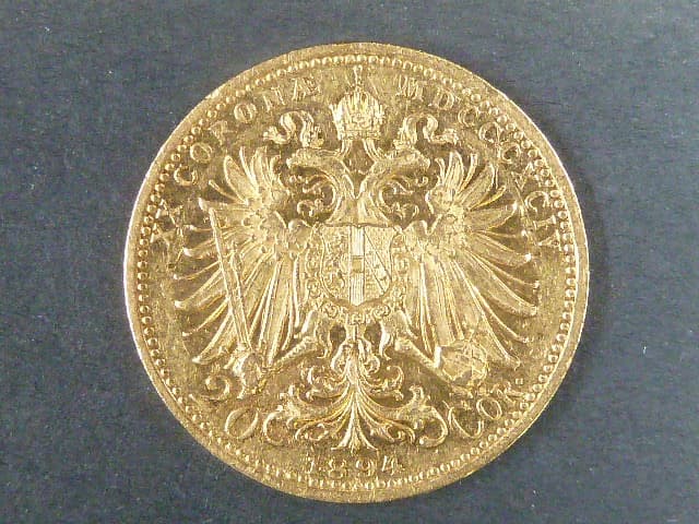 20 Koruna 1894