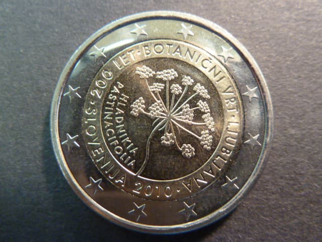 Slovinsko 2 EUR 2010 pamětní