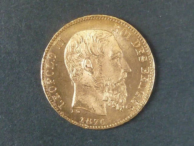 20 Frank 1876