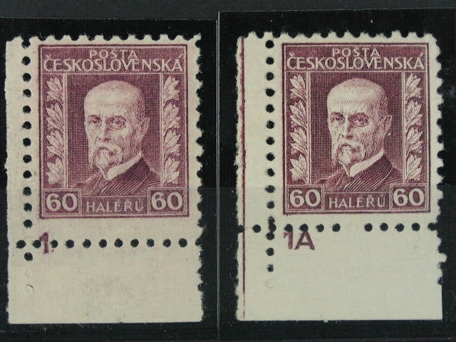 Los 381