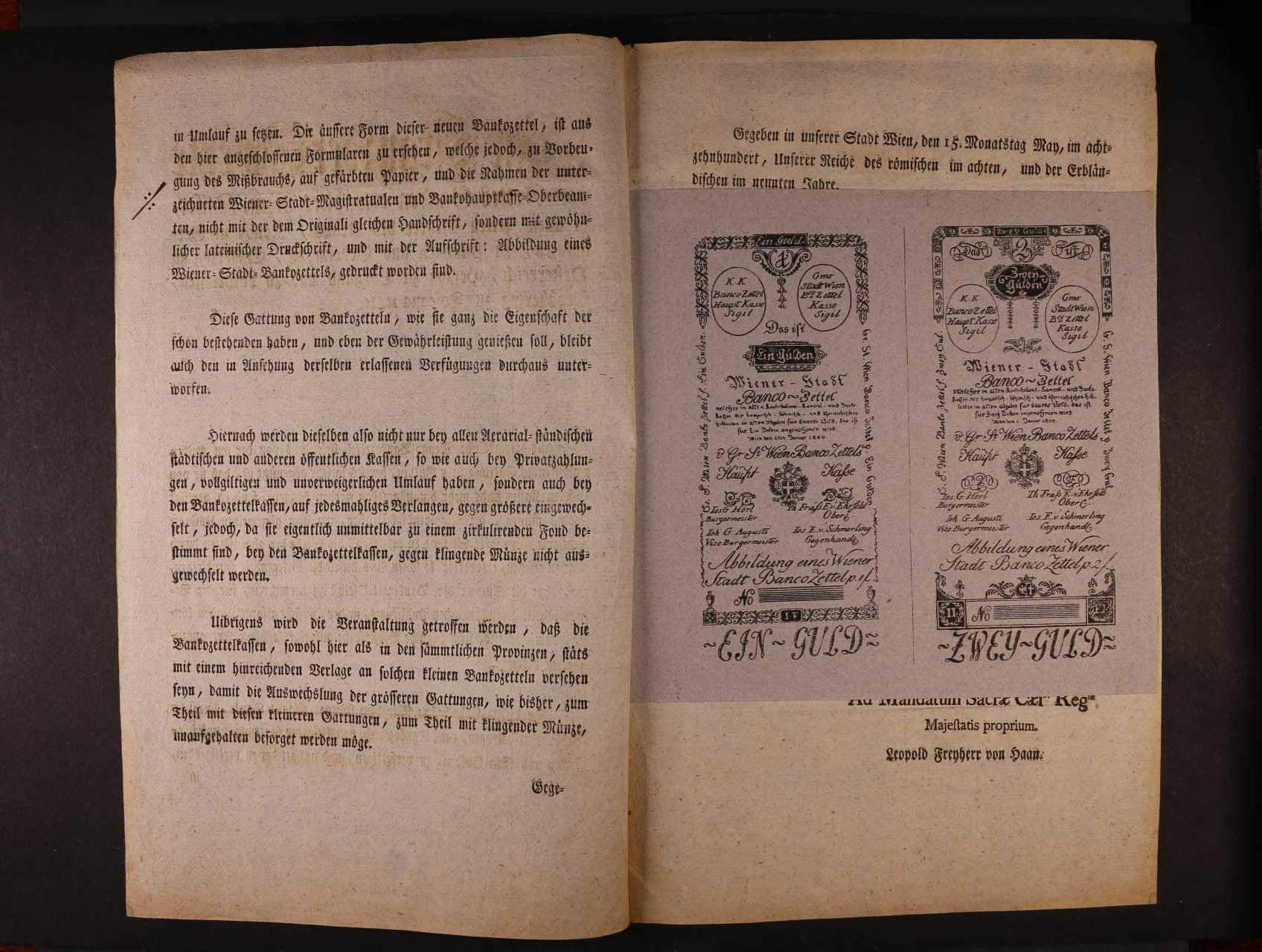 Los 1584