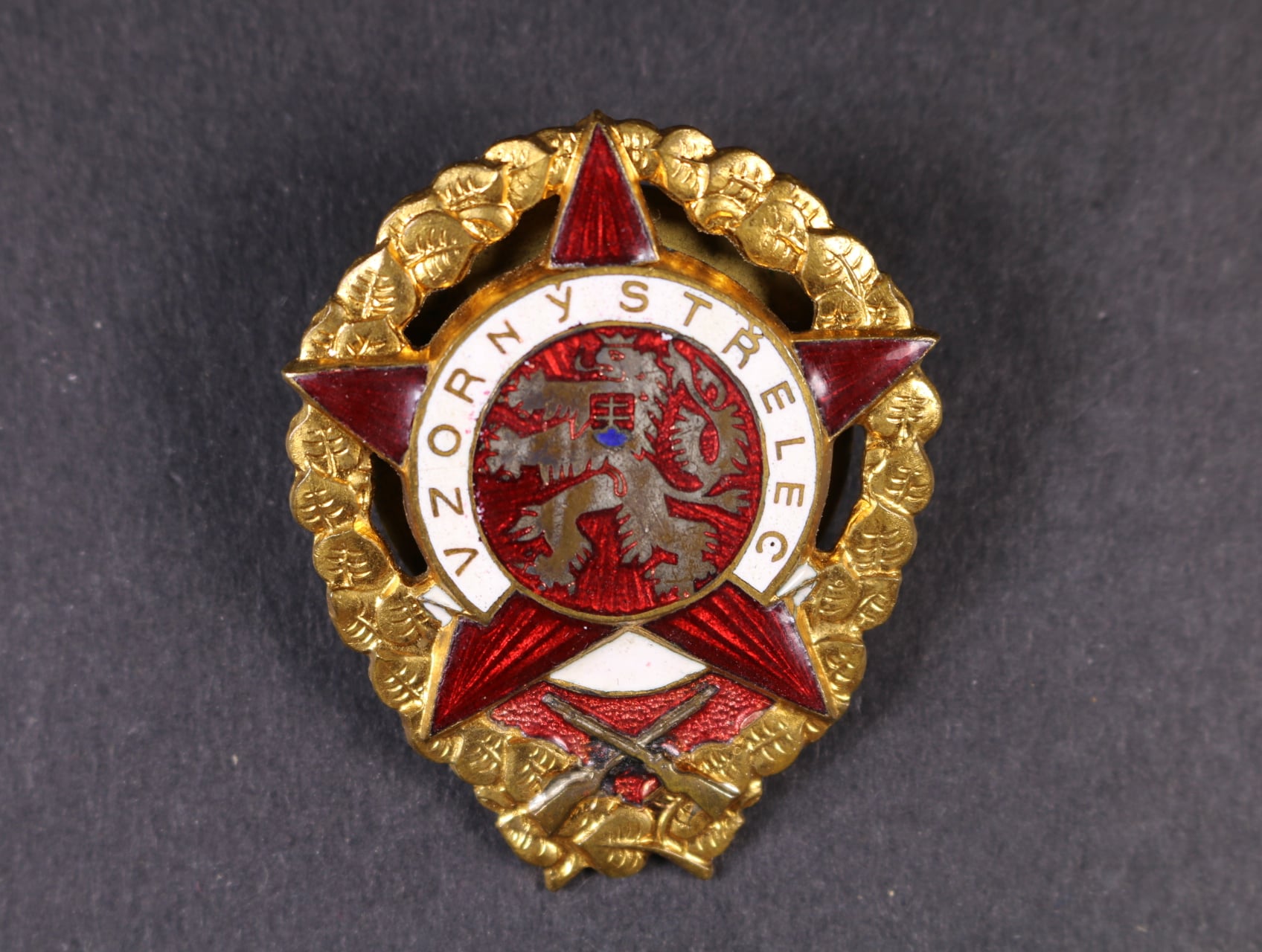 Vzorný střelec č.35281