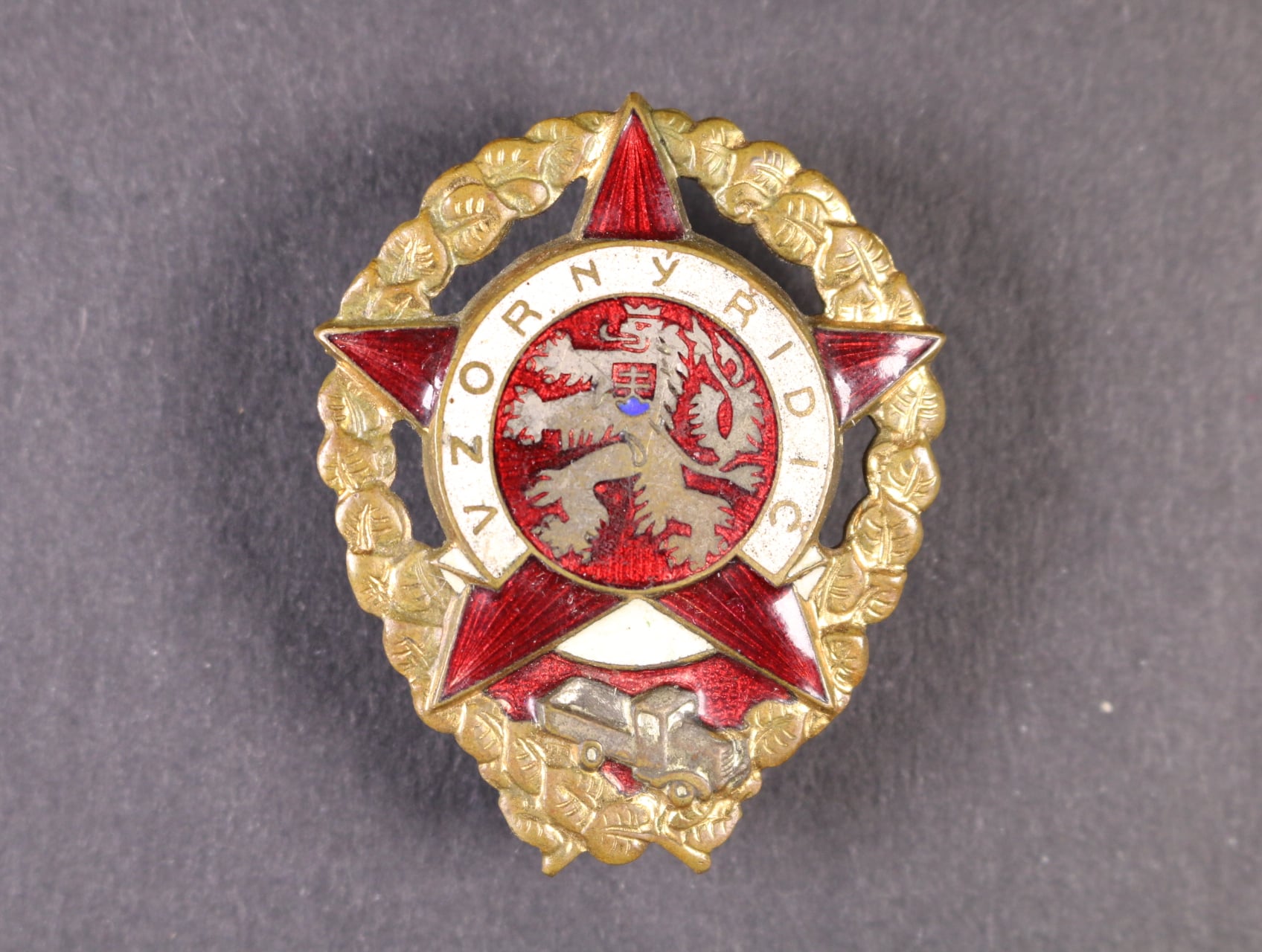 Vzorný řidič č.19299