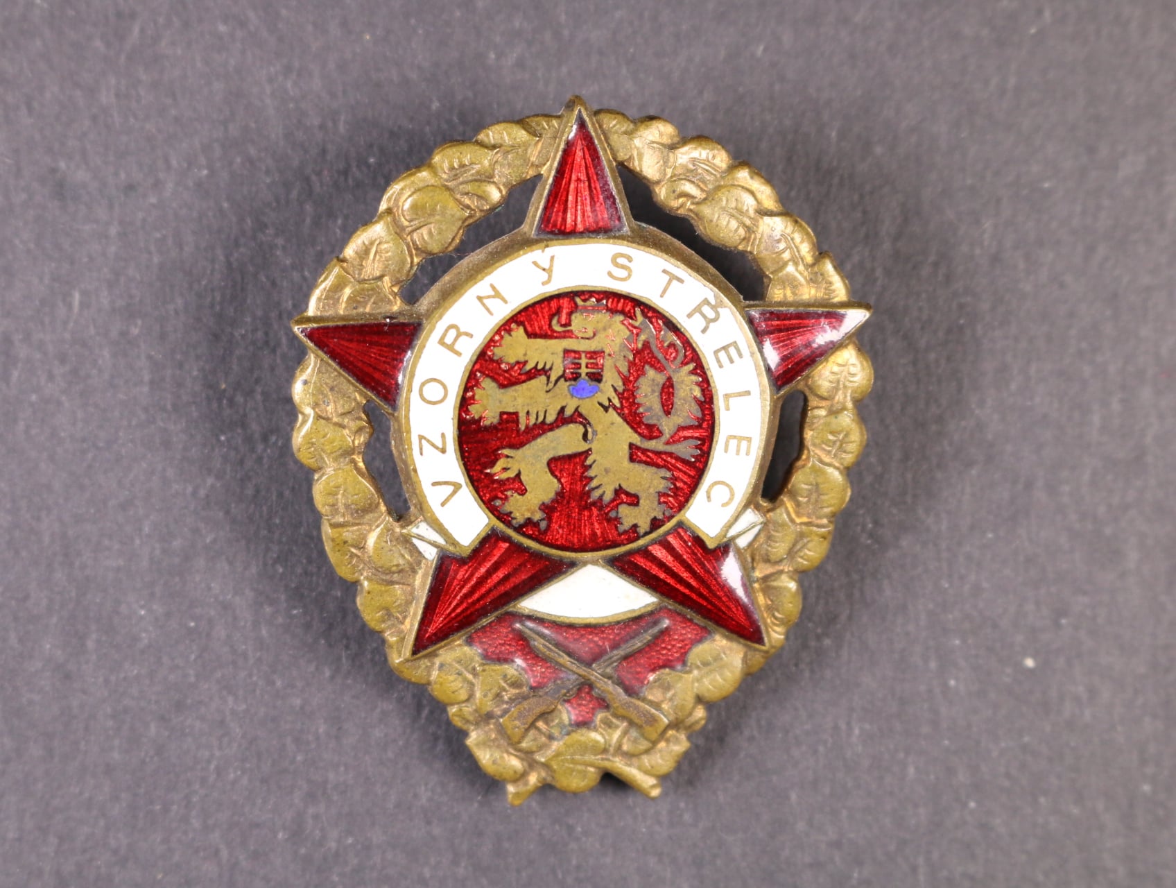 Vzorný střelec č.04601