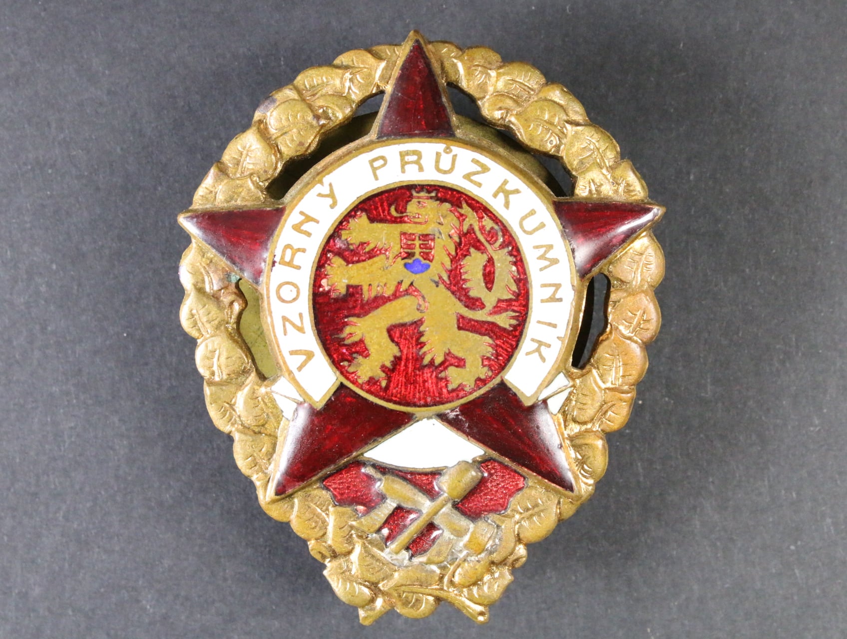 Vzorný průzkumník č.02654