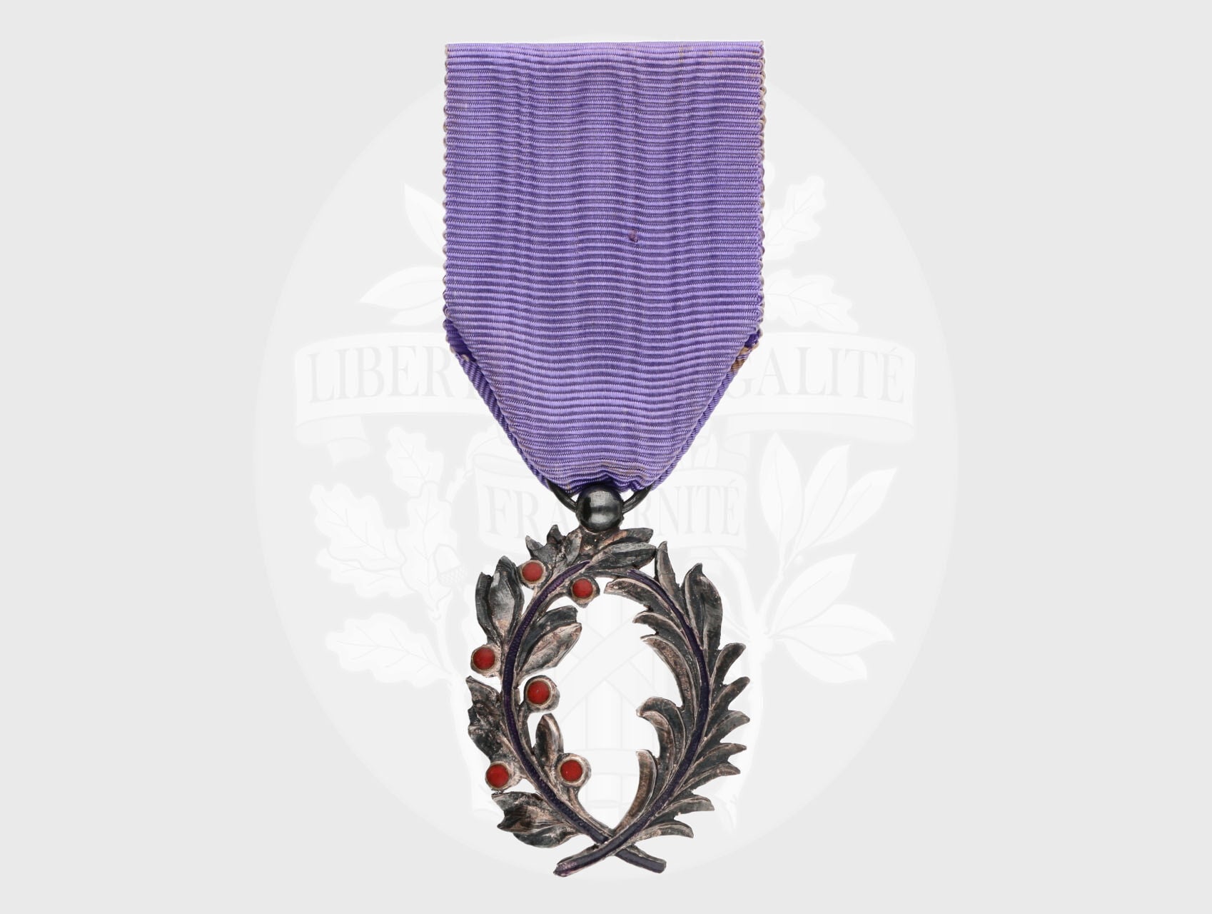 Řád akademických palem, období 1866 - 1955, na reversu punc Ag