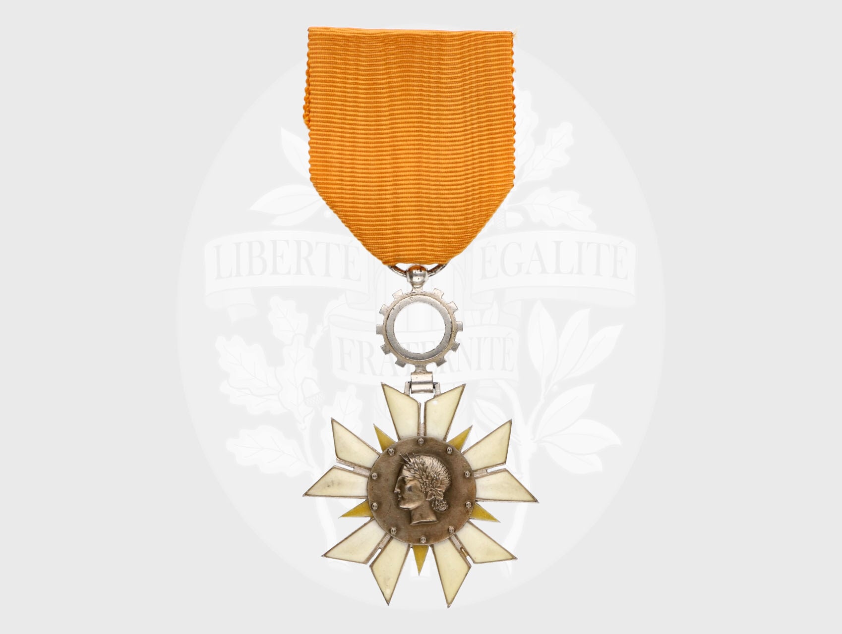 Řád národního hospodářství, rytíř, založen 1954, udělování ukončeno 1964