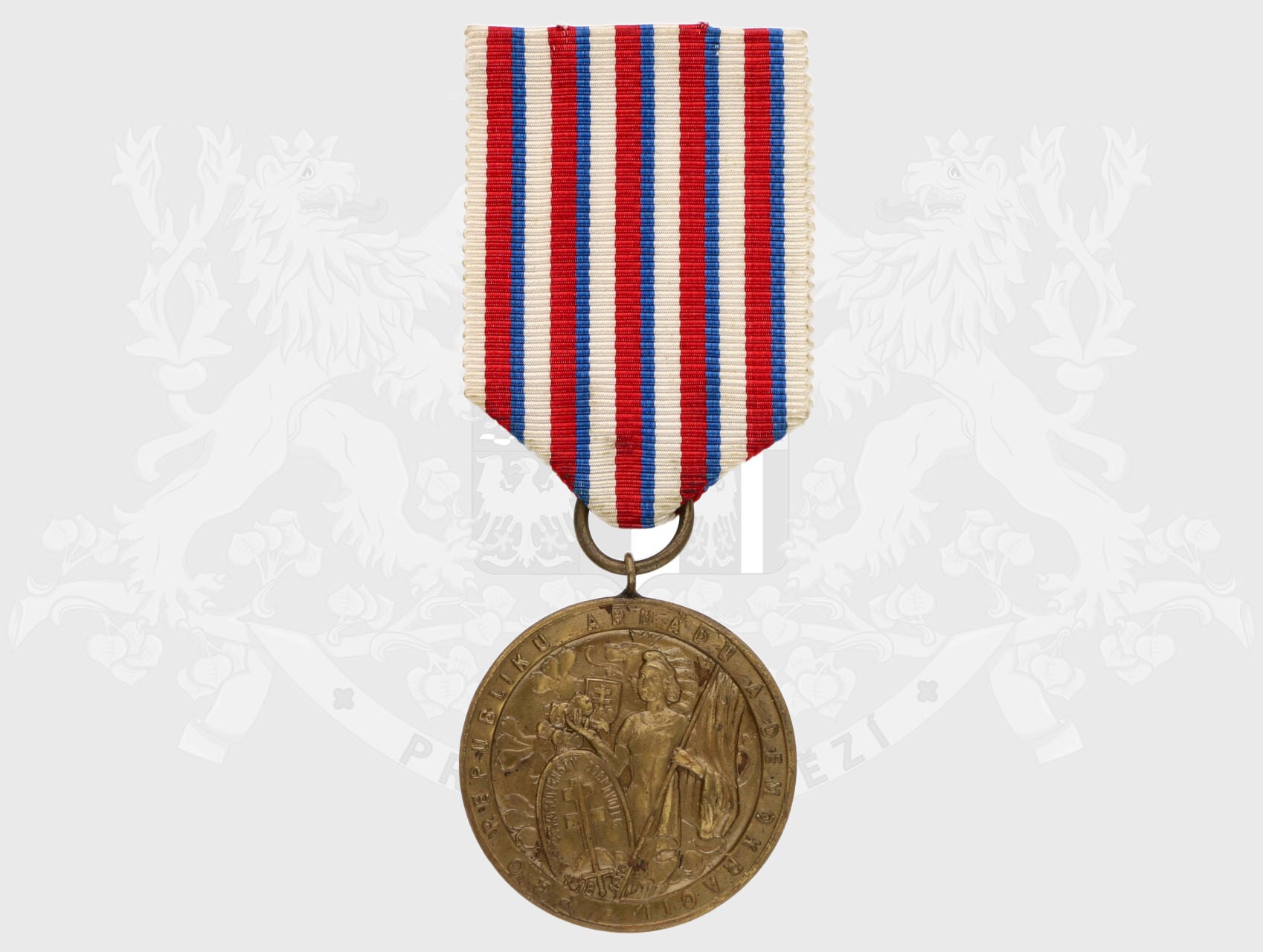 Pamětní medaile manifestačního sjezdu dobrovolců let 1918-19