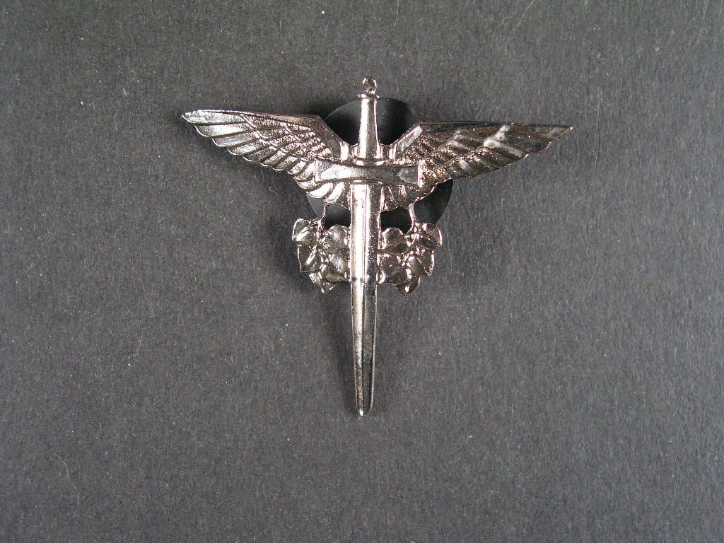 Odznak ŘLP, II.typ po roce 1995