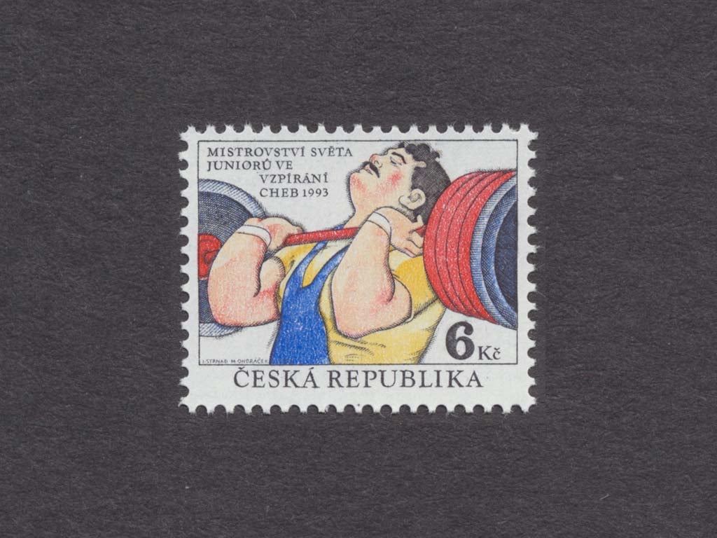 Zn. č. 8