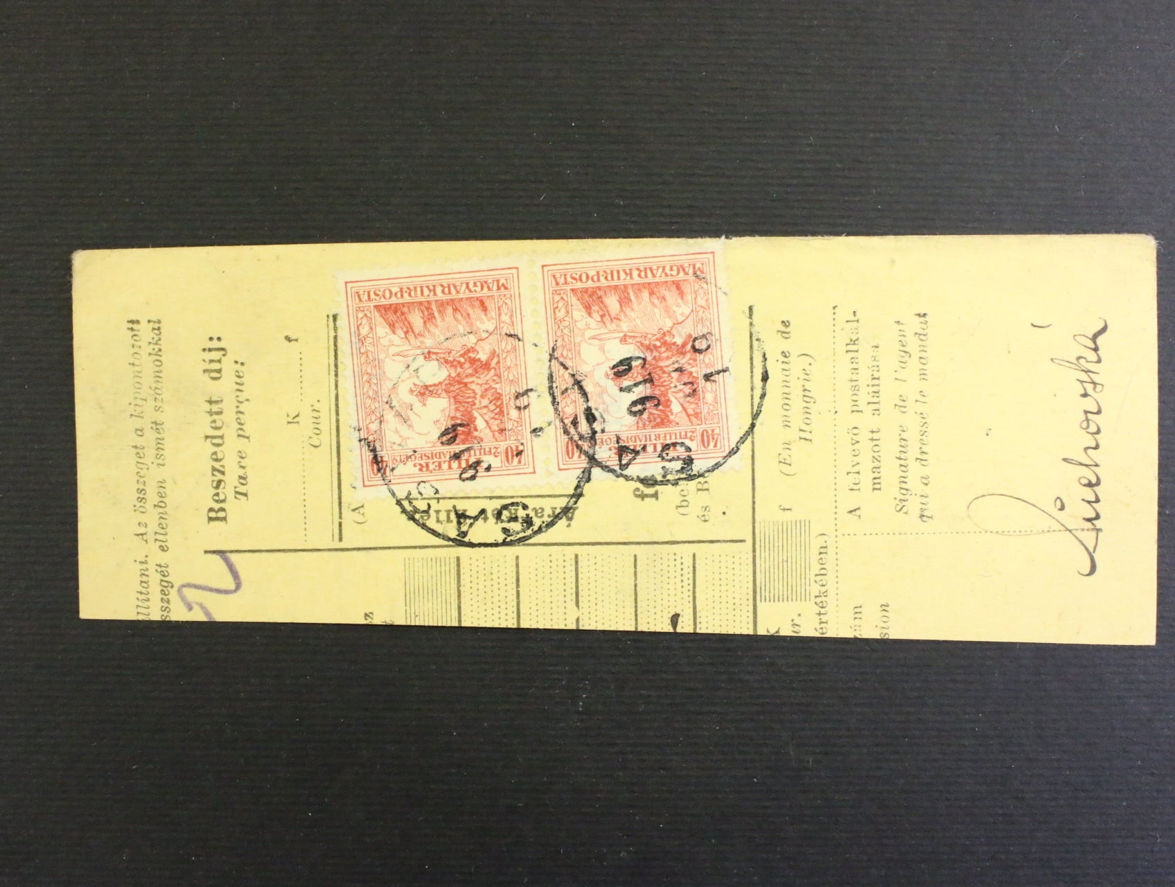 ustřižek uherske post. pruvodky frank. vodorovnou dvoupaskou zn. P č. 49 (Mi. 185) s raz. SASVAR (Castin) 19.JAN.1919