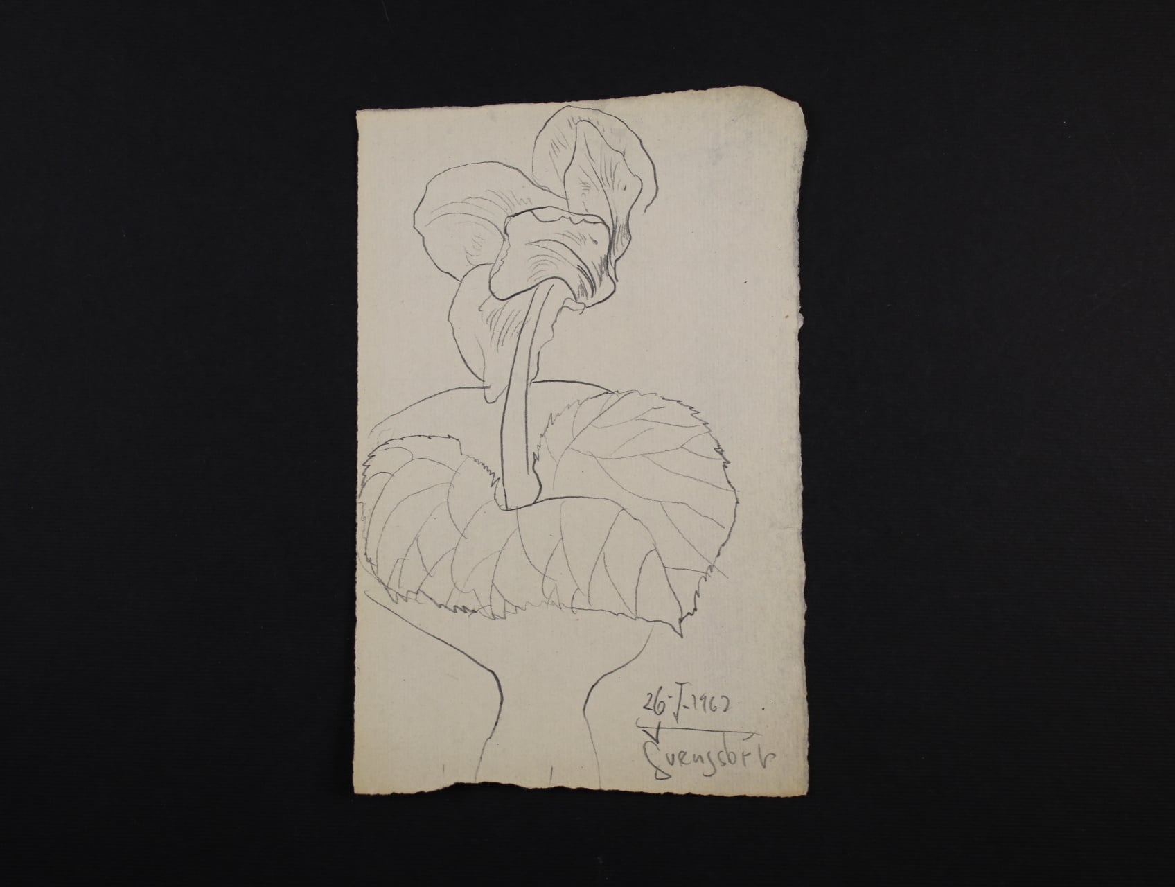 Drobná grafika - Švengsbír Jiří - kresba tužkou o rozm. 97 x 148 mm s vlastnoručním podpisem a datací 1962