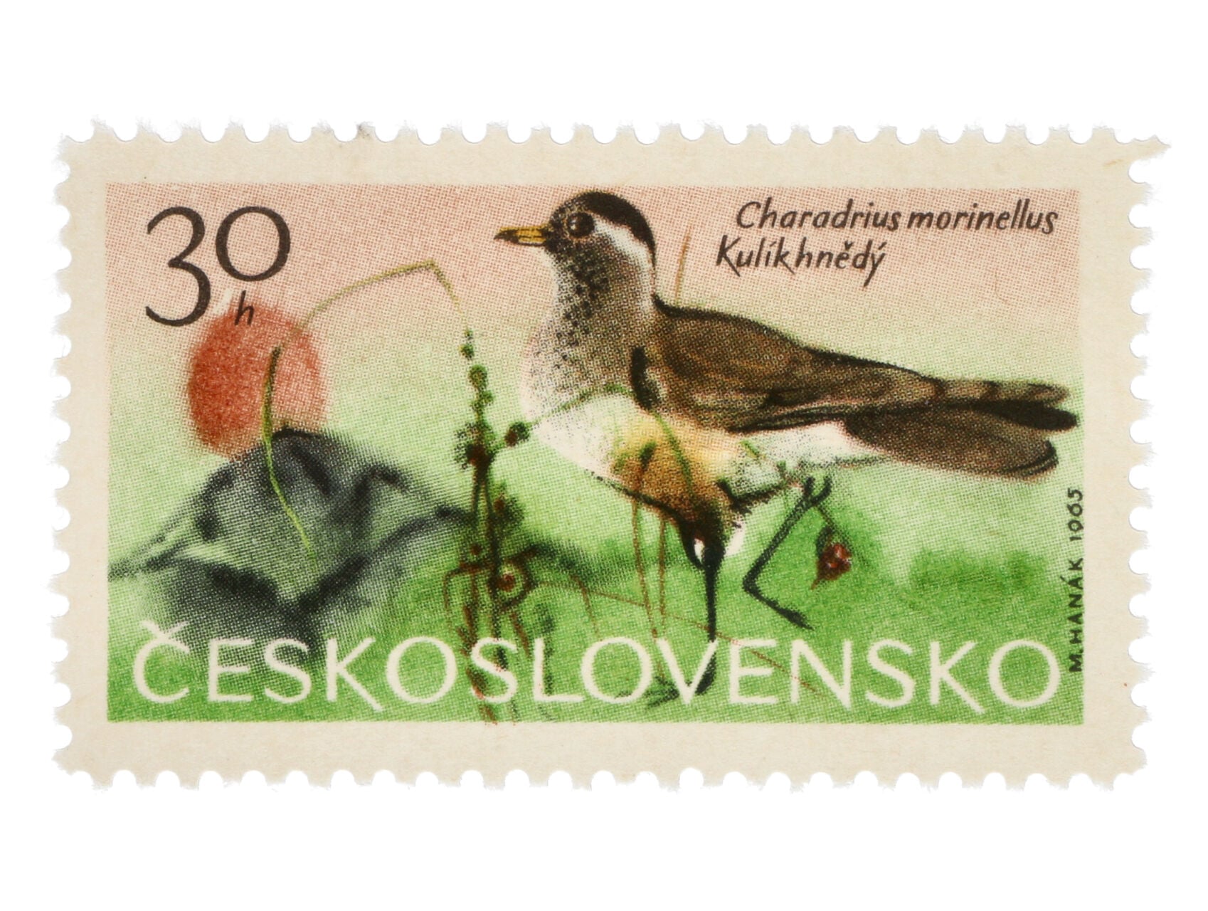 Zn. č. 1474 DV 3/1