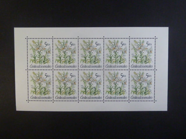 PL 2933 10-blok