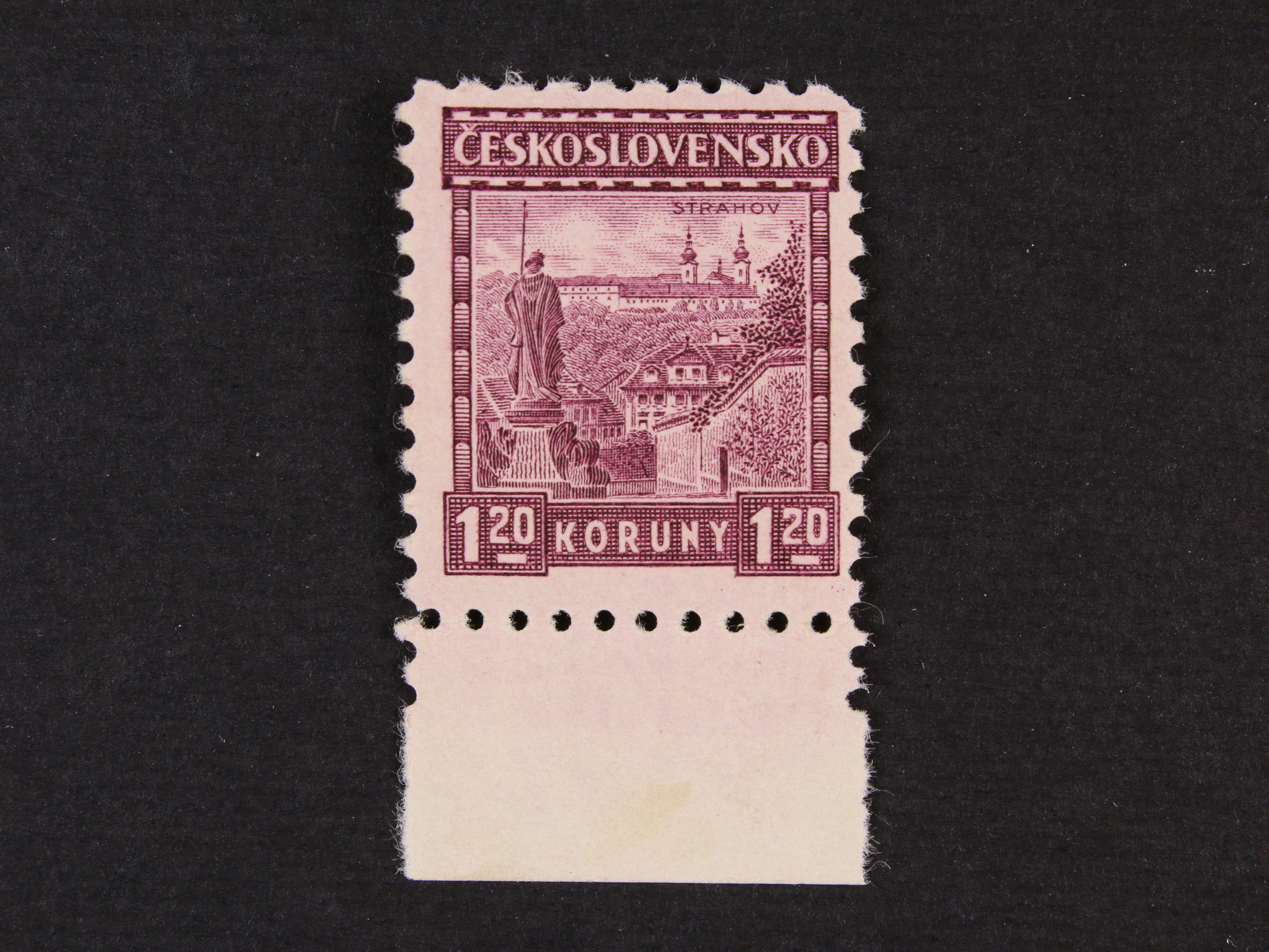 zn. č. 219 lep bez pruhů, zk. Vrba