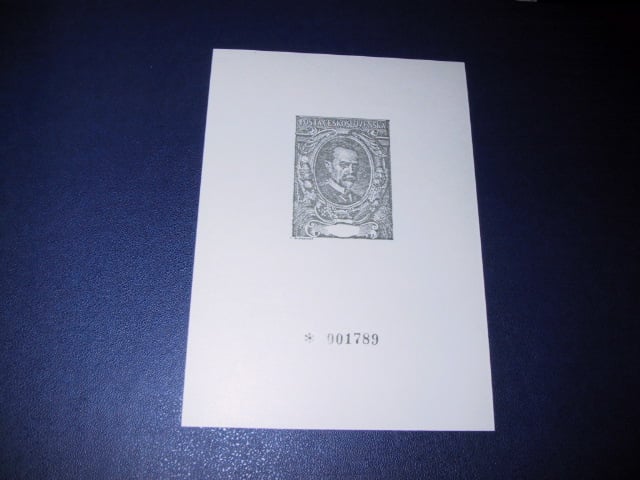 ZVL24