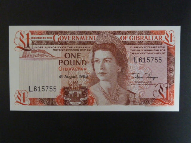 1 Pound 1988, BNB. B118e, Pi. 20