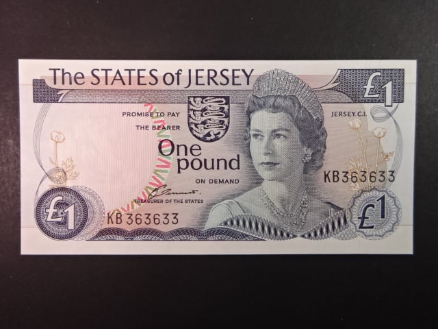1 Pound 1976, BNB. B111a, Pi. 11