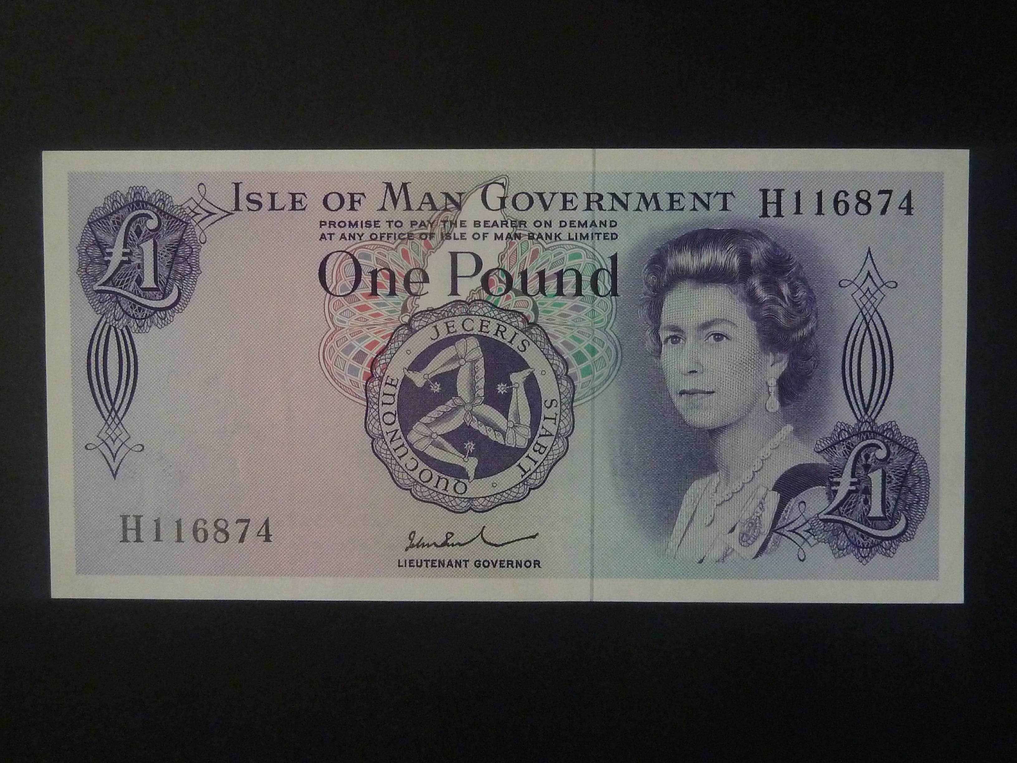 1 Pound 1983, BNB. B106c, Pi. 29