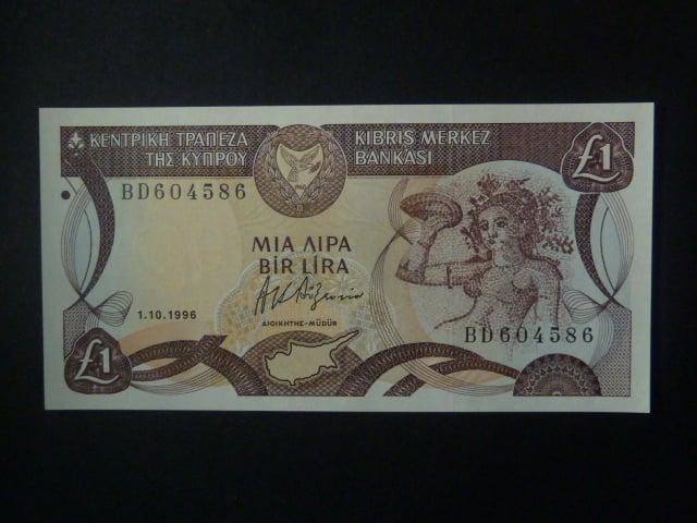 1 Pound 1996, BNB. B313f, Pi. 53e