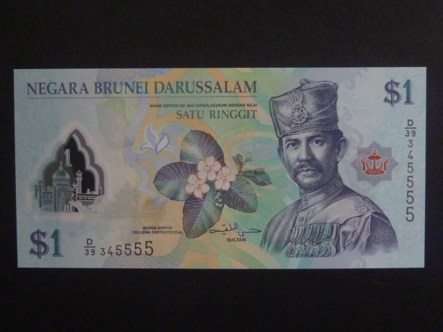 BRUNEJ, 1 Dollar 2013, BNB. B301b, Pi. 33