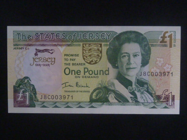 1 Pound 2010, BNB. B120b, Pi. 20