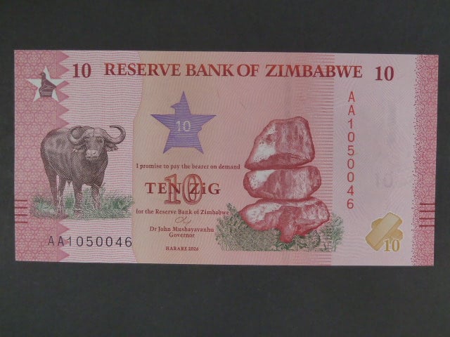 ZIMBABWE, 10 Zig 2026, BNB. B206a