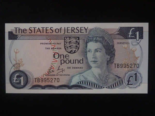 1 Pound 1985, BNB. B111b, Pi. 11